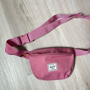 Hershel Fourteen Hip Pack